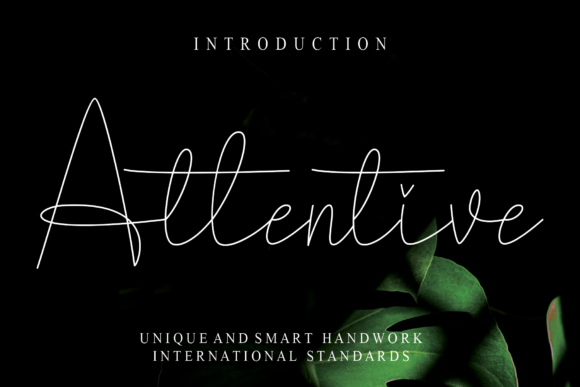 Attentive Font Review