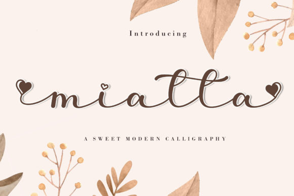Beautiful Script Font for Web Design