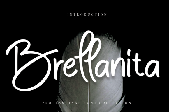 Brellanita: A Font That Speaks Volumes