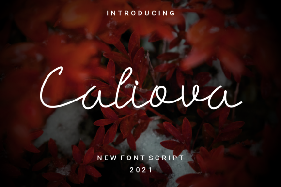 Caliova: A Delicate Script Font