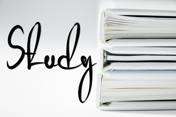 Study Font: Elegant Script for Web Design